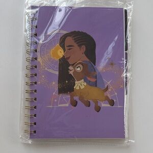 Disney Wish Notebook